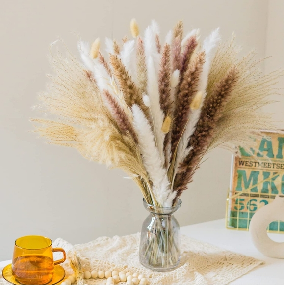 Pampas Grass Brand New! - Picture 2 of 6